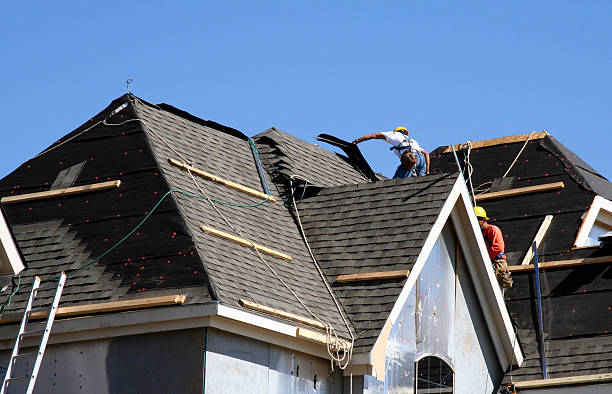 Best Roof Gutter Cleaning  in St Anthony, MN