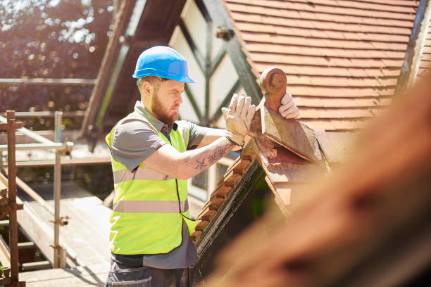 Best Roof Gutter Cleaning  in St Anthony, MN